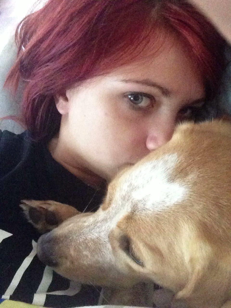 Blanding af racer Molly billede 13