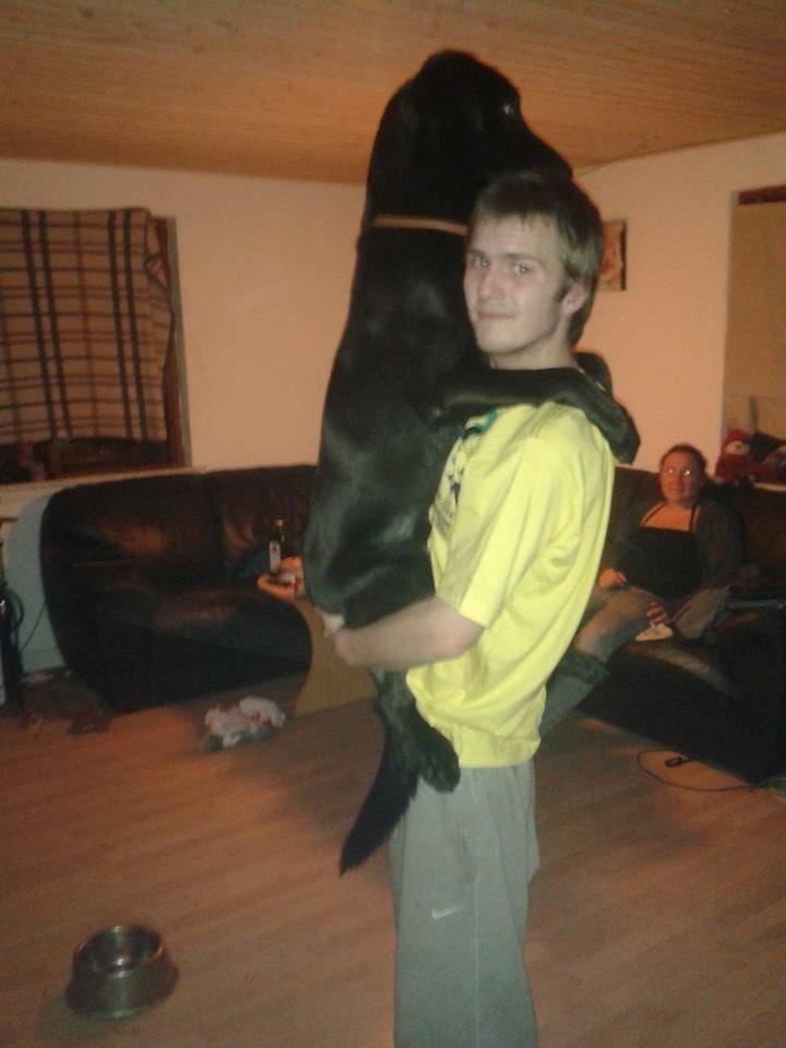 Blanding af racer Buller billede 11