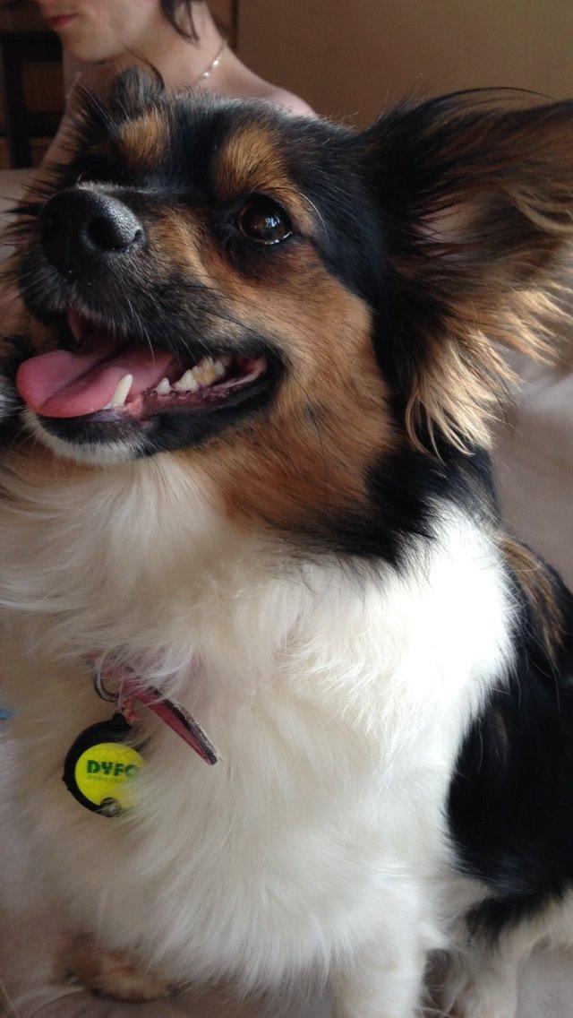 Blanding af racer Fie Caroline billede 17