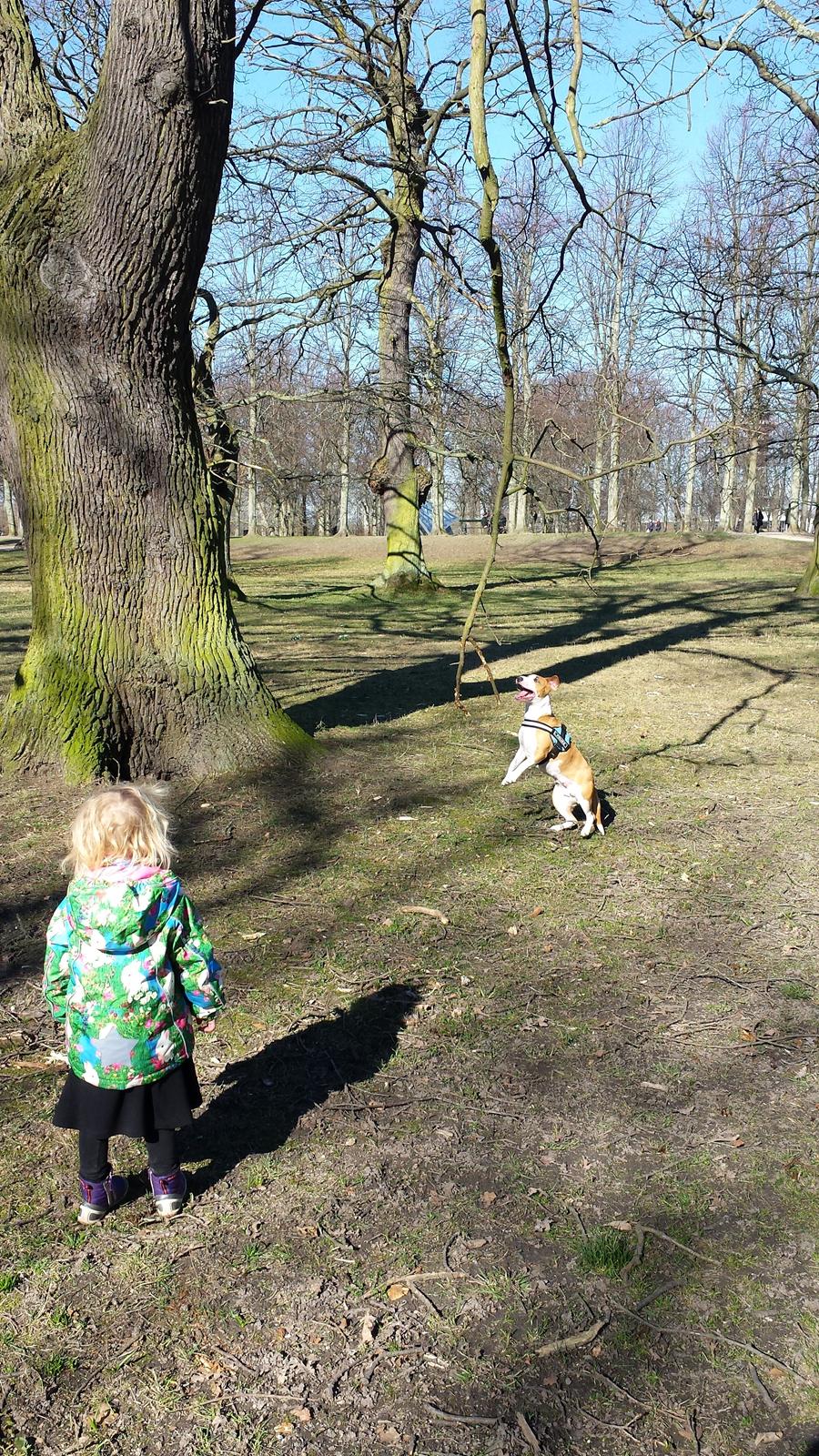 Blanding af racer Vega billede 40