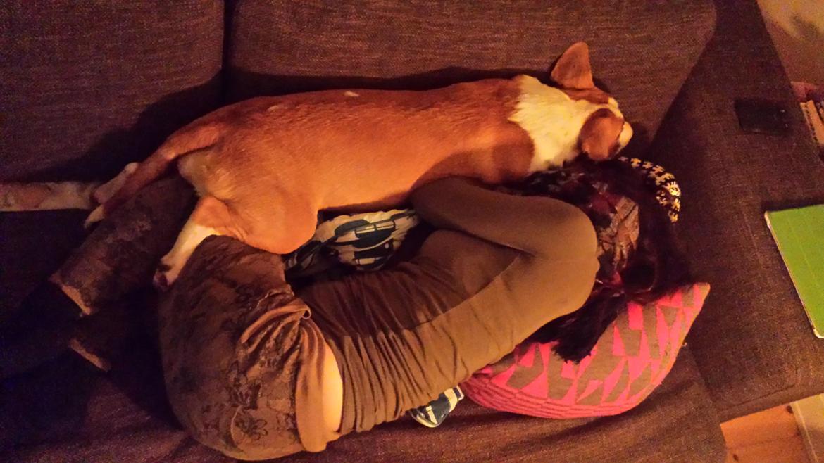 Blanding af racer Vega billede 41