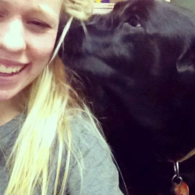 Labrador retriever Zulu billede 14