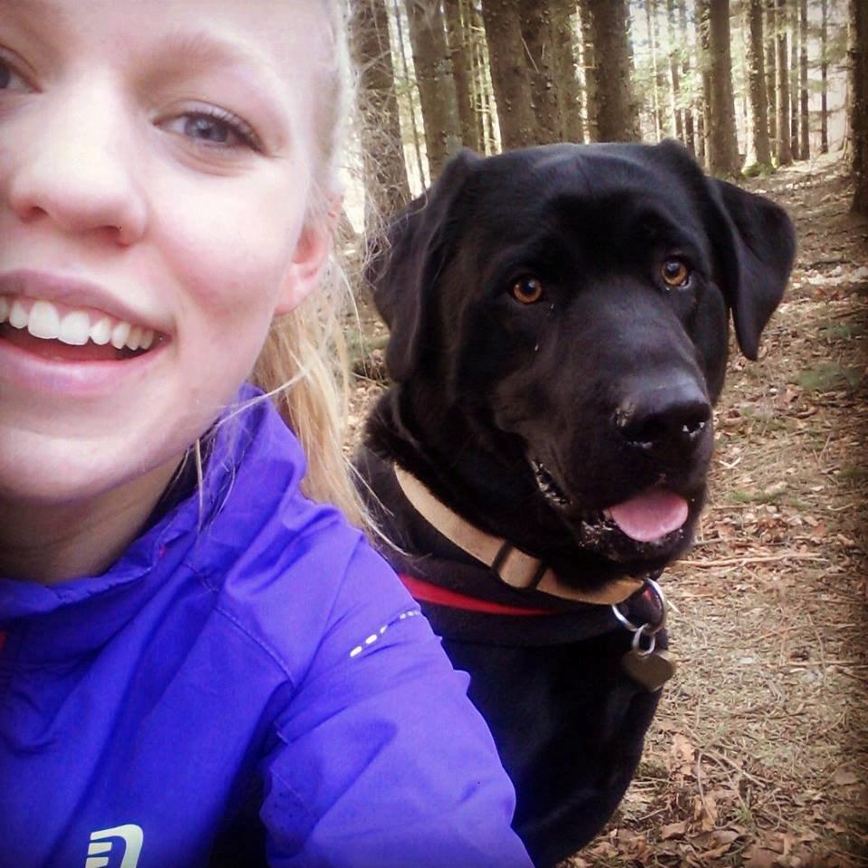 Labrador retriever Zulu - Første løbetur med Zulu, han spurter bare der ud af!  billede 2