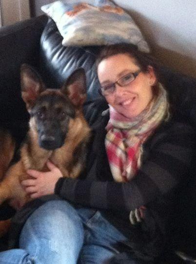 Schæferhund Bella billede 2