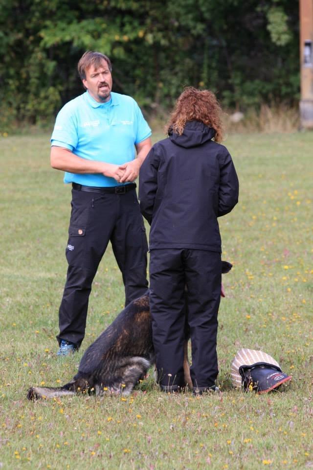 Schæferhund Kochens Jazz billede 43