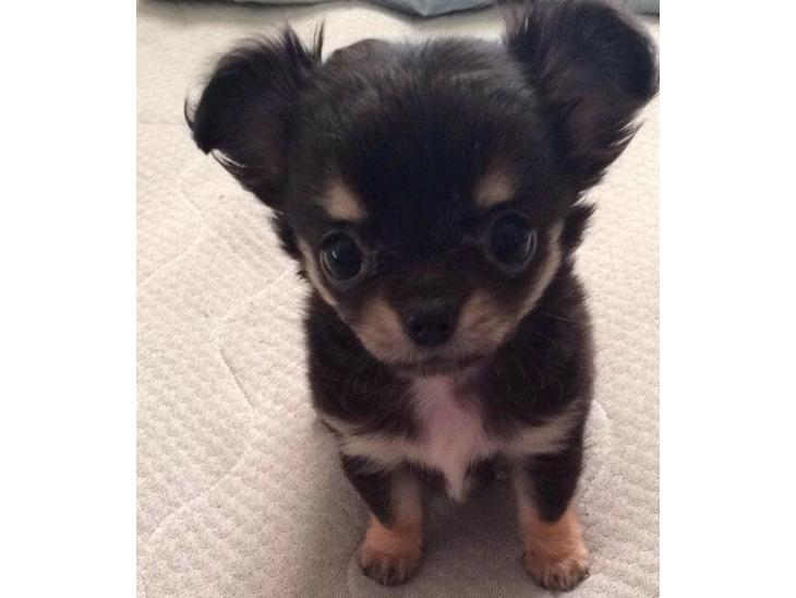 {{currentPhoto.altText}} billede {{currentPhoto.number}}