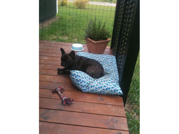 {{currentPhoto.altText}} billede {{currentPhoto.number}}