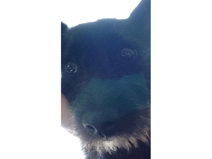 {{currentPhoto.altText}} billede {{currentPhoto.number}}