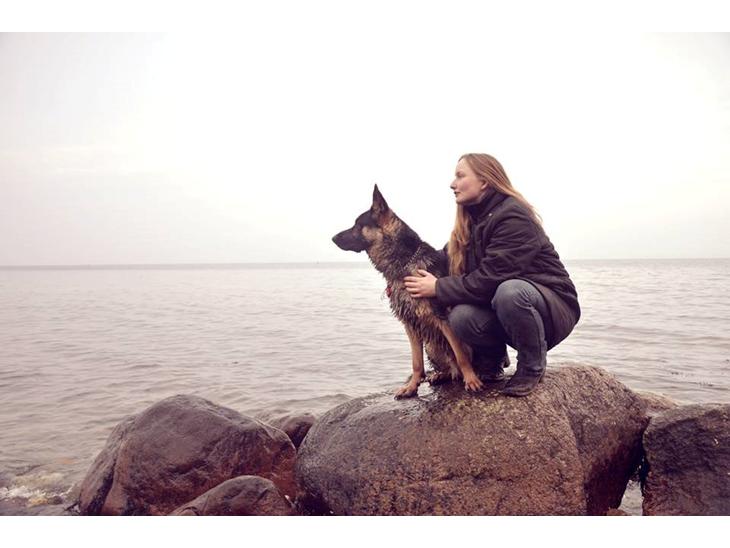 Schæferhund Pascha billede 1