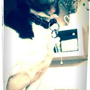 Blanding af racer Max