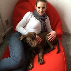 Blanding af racer Fonzo