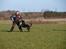 Rottweiler Fury vom hause Desteny (coco)