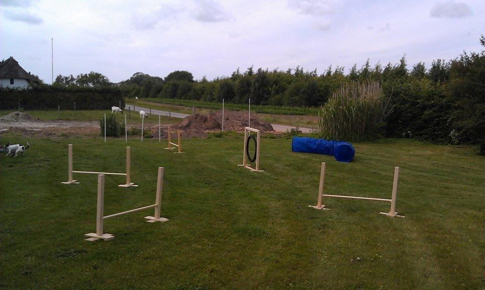 Dansk svensk gaardhund Lulu - ...vi bygger da bare vores egen agilitybane! billede 12