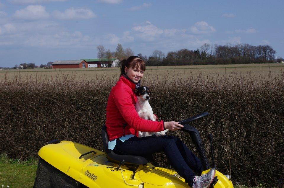 Dansk svensk gaardhund Lulu - Man er vel GÅRDhund! :D billede 14