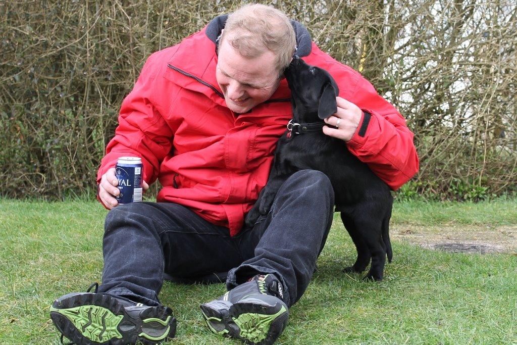 Labrador retriever Obelix billede 34