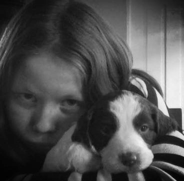 Field Trial spaniel Laban tidliger hund - Redigeret billede:D Fail fra min side af, men Laban er bare så sød! Han redder billedet<3 billede 13