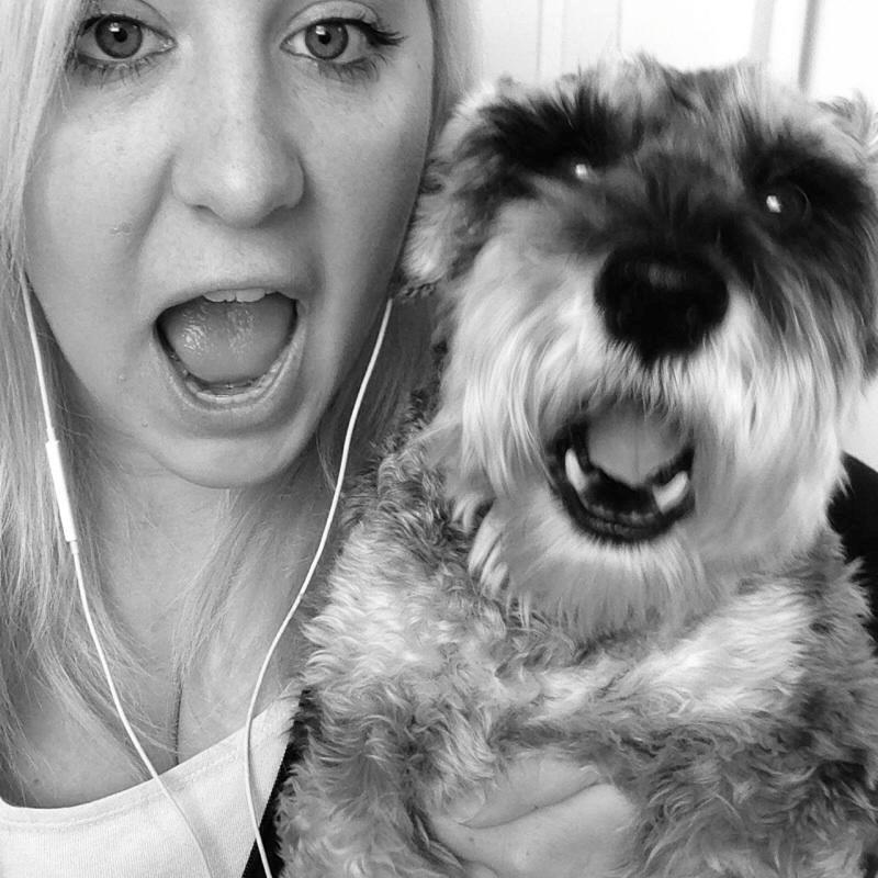 Dvaergschnauzer *FNUGGI* billede 2