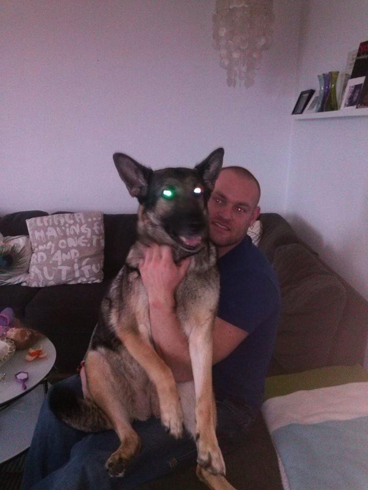 Schæferhund Bella - Min stærke Onkel Der Bær Bella billede 2