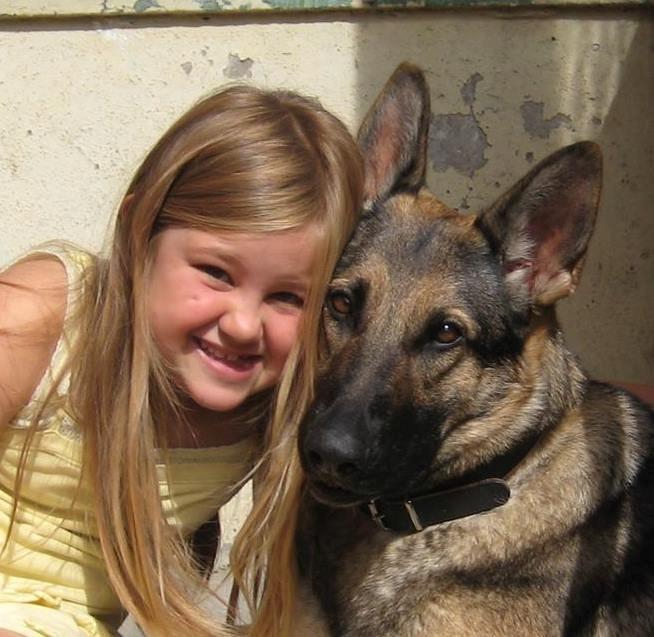 Schæferhund Bella - Mig Og Bella Syv År Siden billede 5