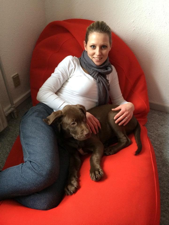 Blanding af racer Fonzo billede 1