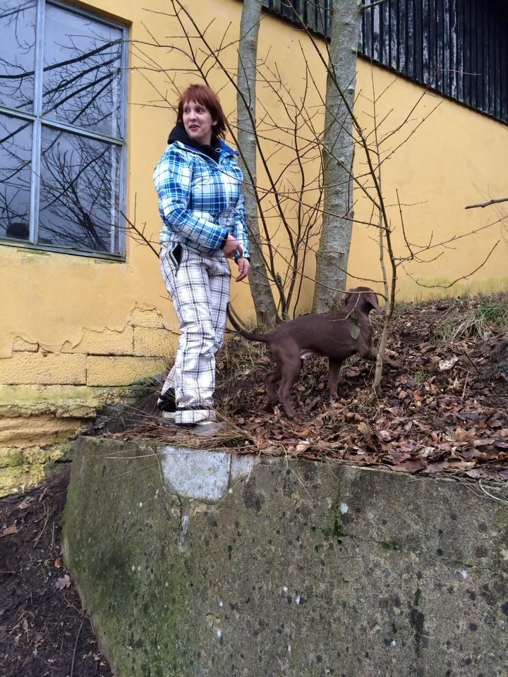 Blanding af racer Fonzo billede 4