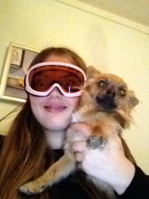 Chihuahua Chico billede 47