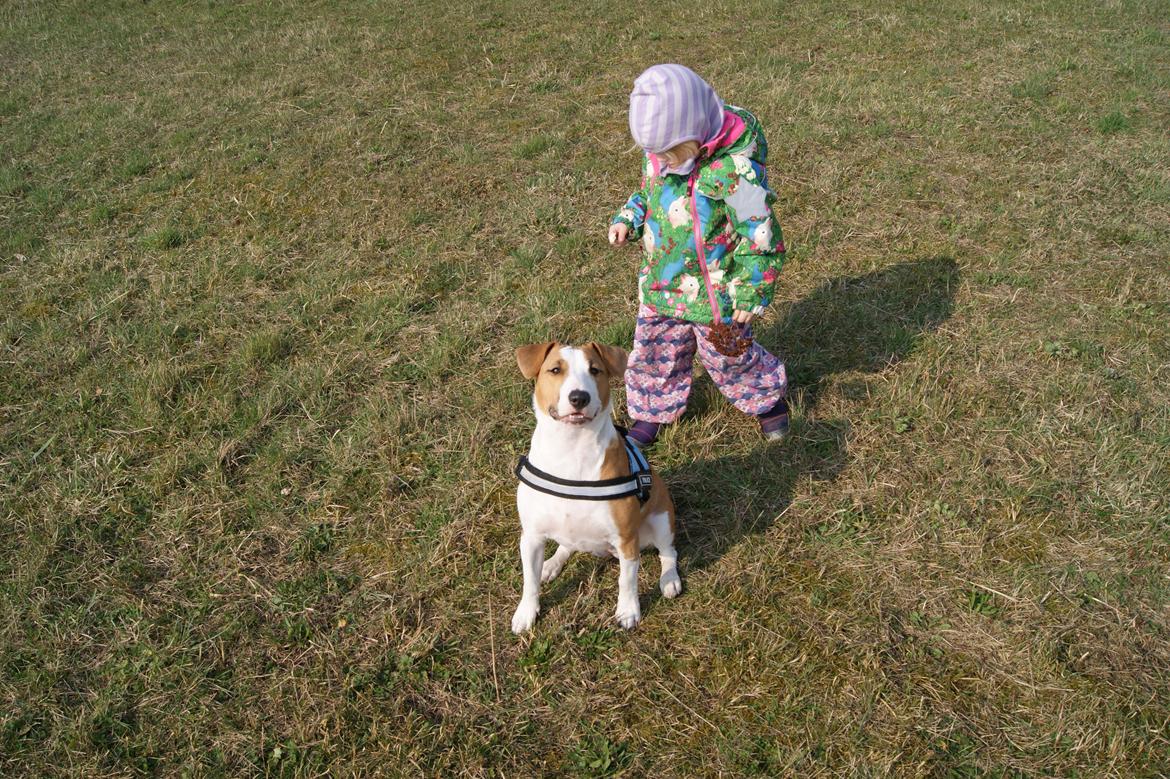 Blanding af racer Vega billede 44