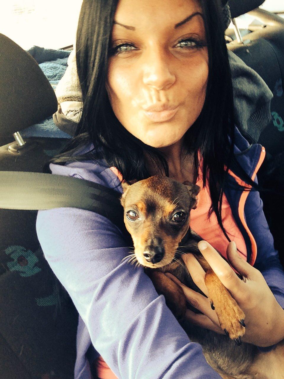 Prazsky krysarik Bastian billede 19