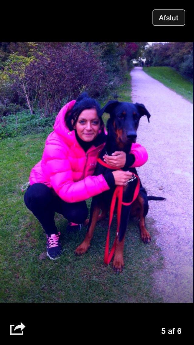 Blanding af racer Mille  billede 4