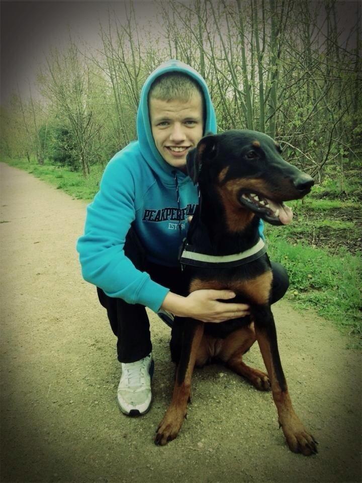 Blanding af racer Mille  billede 3