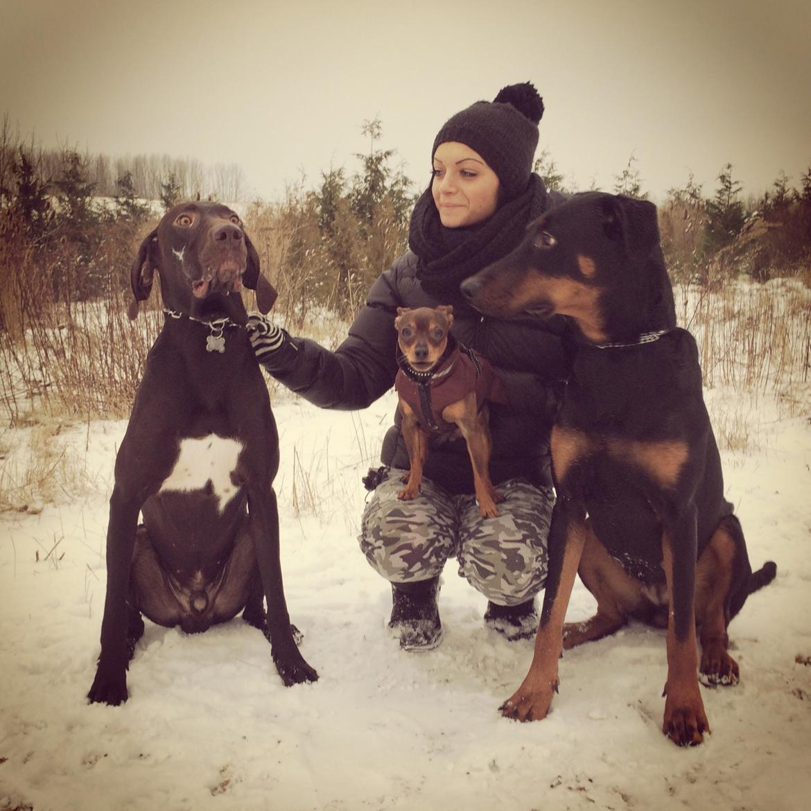 Blanding af racer Mille  billede 14