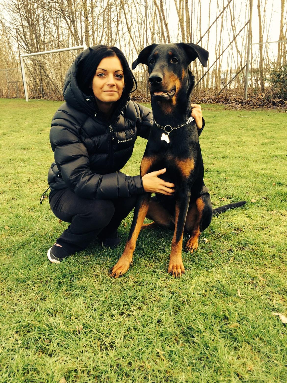 Blanding af racer Mille  billede 17