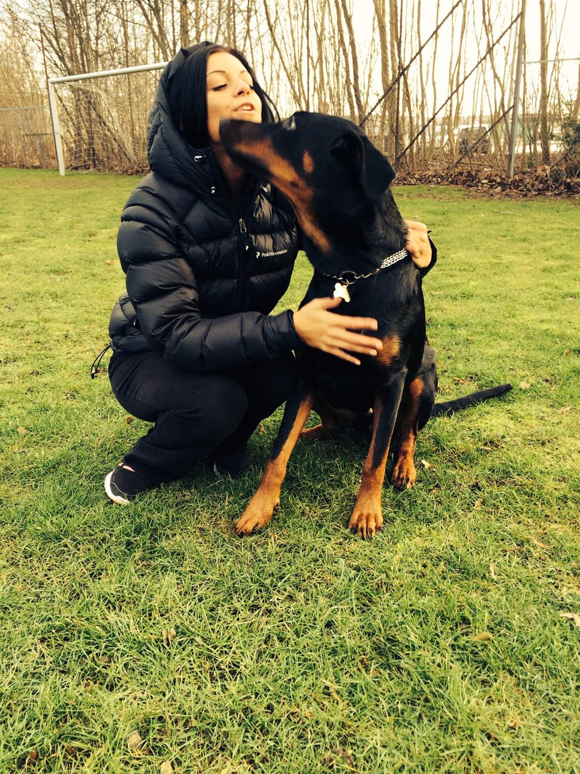 Blanding af racer Mille  billede 19