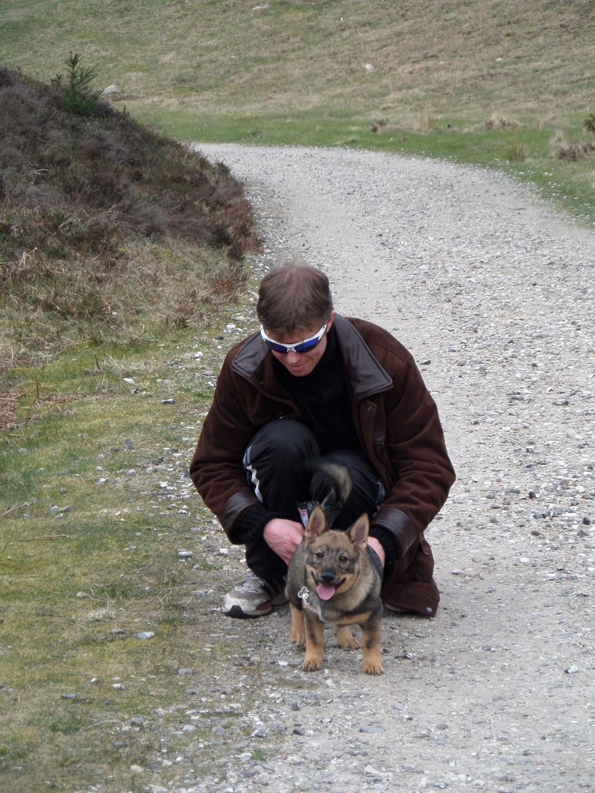 Västgötaspids Yuki <3 <3 (Clasus Miller). - To af mine dejlige mænd, i mit liv <3 30 marts 2014 billede 28