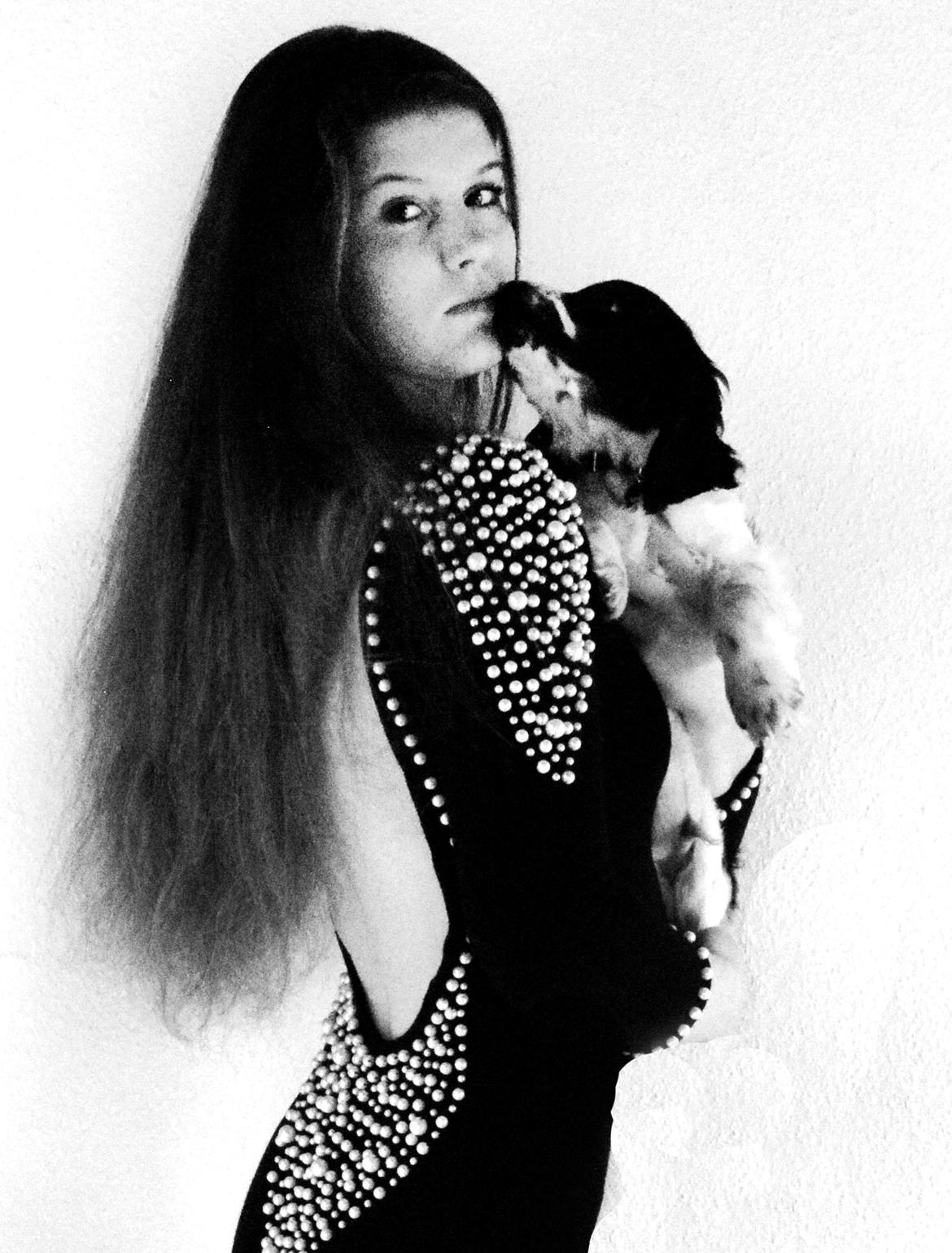 Cocker spaniel Aston billede 9