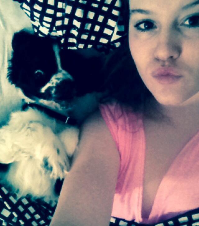 Cocker spaniel Aston billede 18