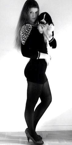 Cocker spaniel Aston billede 3