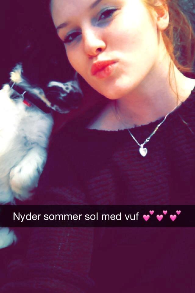 Cocker spaniel Aston billede 11