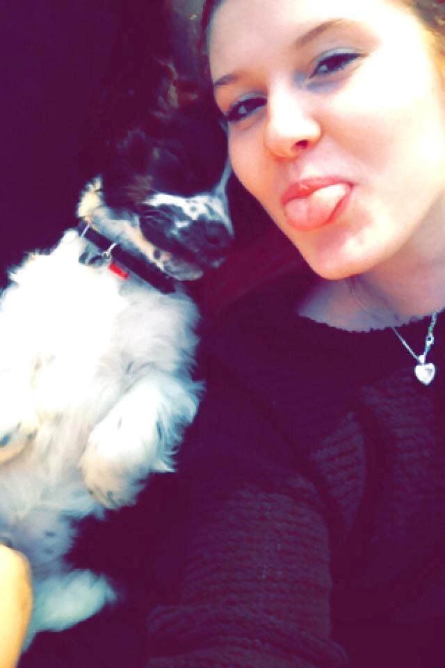 Cocker spaniel Aston billede 6