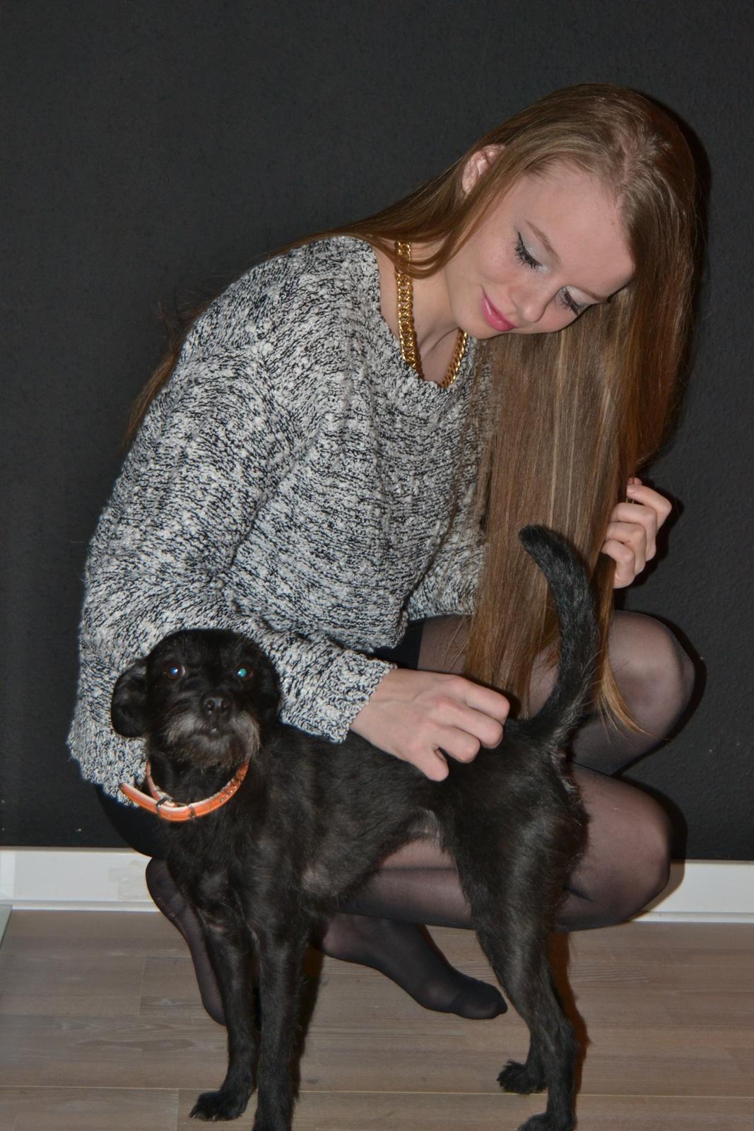 Blanding af racer Kvik <3 billede 21