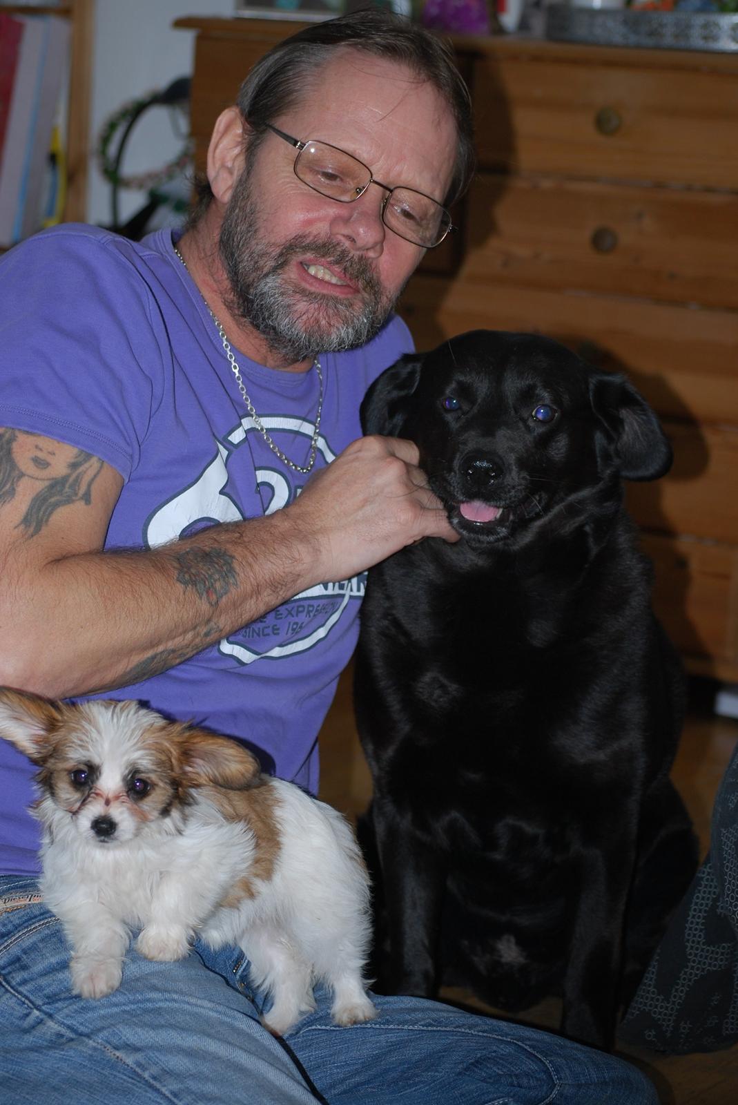 Blanding af racer Bella billede 45