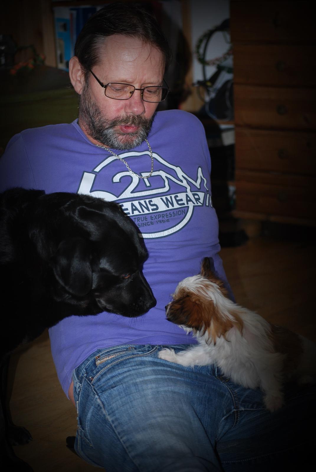 Blanding af racer Bella billede 46