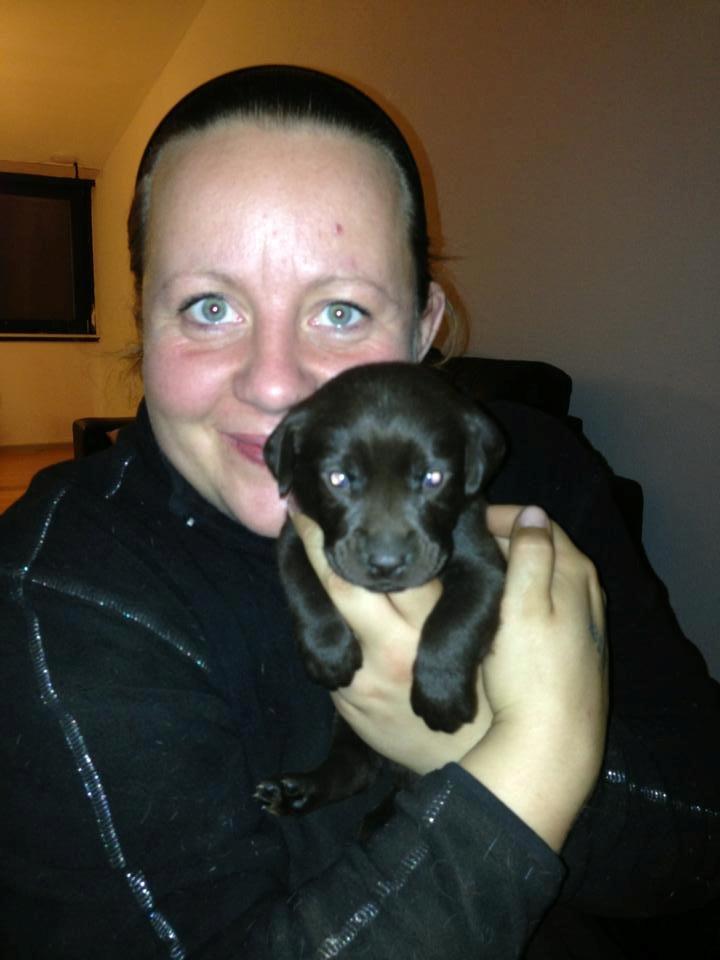 Blanding af racer Bastian billede 4