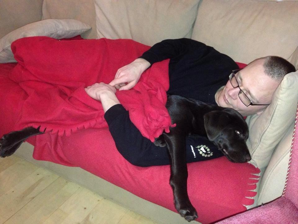 Blanding af racer Bastian billede 6