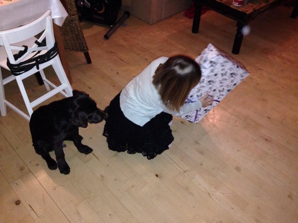 Blanding af racer Bastian billede 11