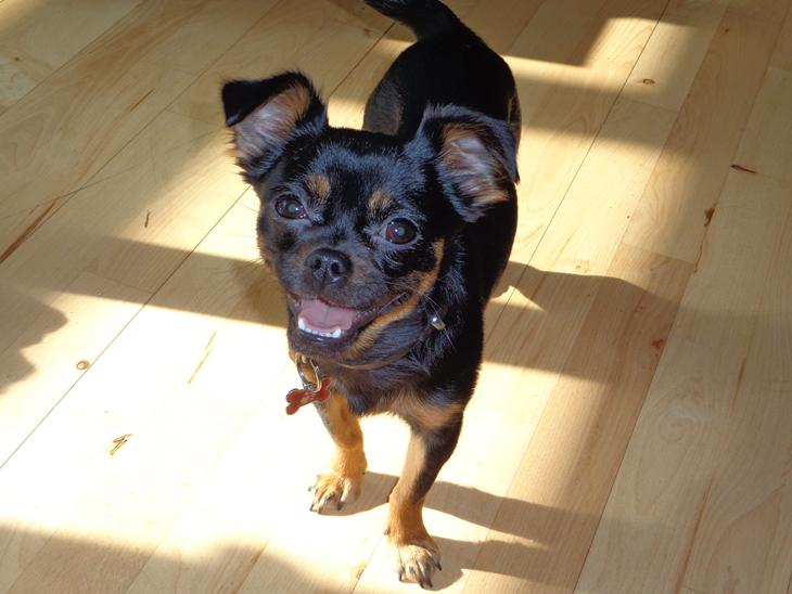 {{currentPhoto.altText}} billede {{currentPhoto.number}}