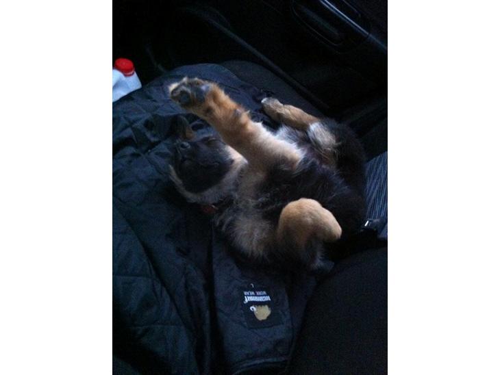 {{currentPhoto.altText}} billede {{currentPhoto.number}}