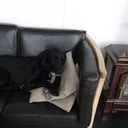 Blanding af racer Ronaldo