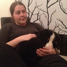 Berner sennenhund Max