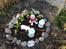 Dansk svensk gaardhund Nicki - Nicki's sidste hvilested - 19. december 2013 :'-(